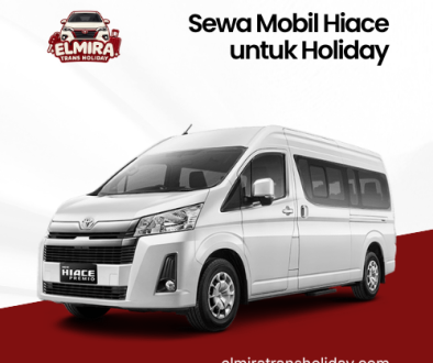 artikel elmira trans holiday (2)