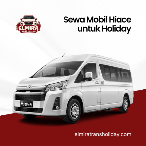 artikel elmira trans holiday (2)